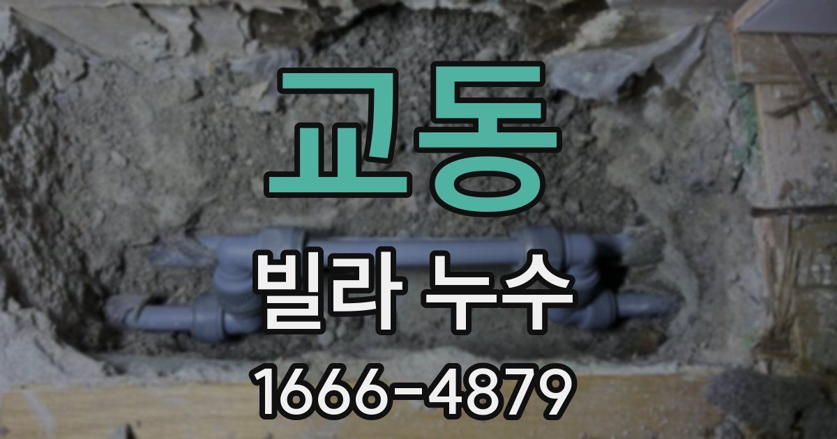 교동 빌라 누수