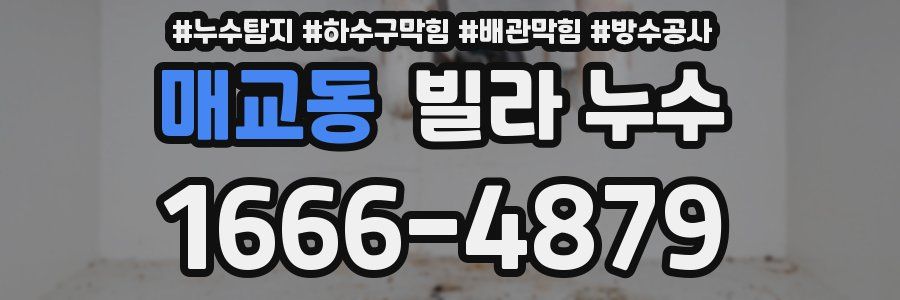 매교동 빌라 누수