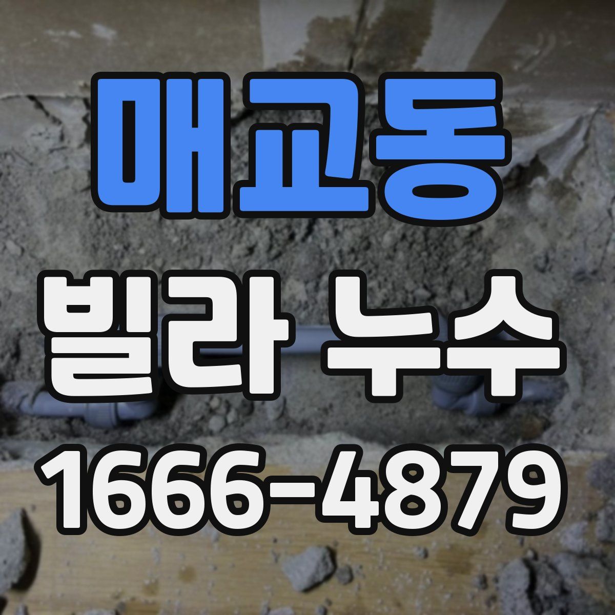 매교동 빌라 누수