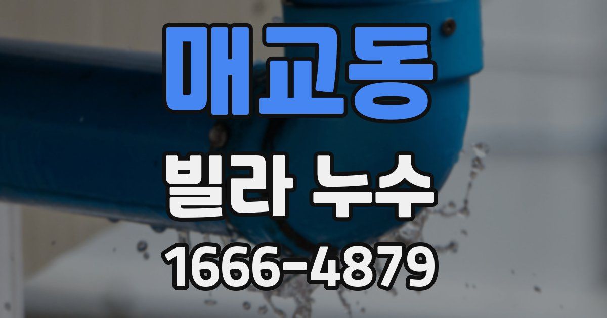 매교동 빌라 누수