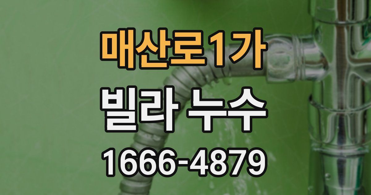 매산로1가 빌라 누수