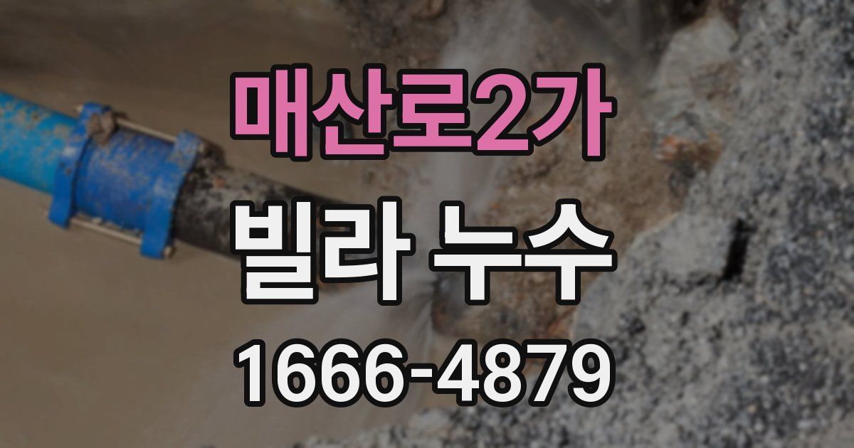 매산로2가 빌라 누수