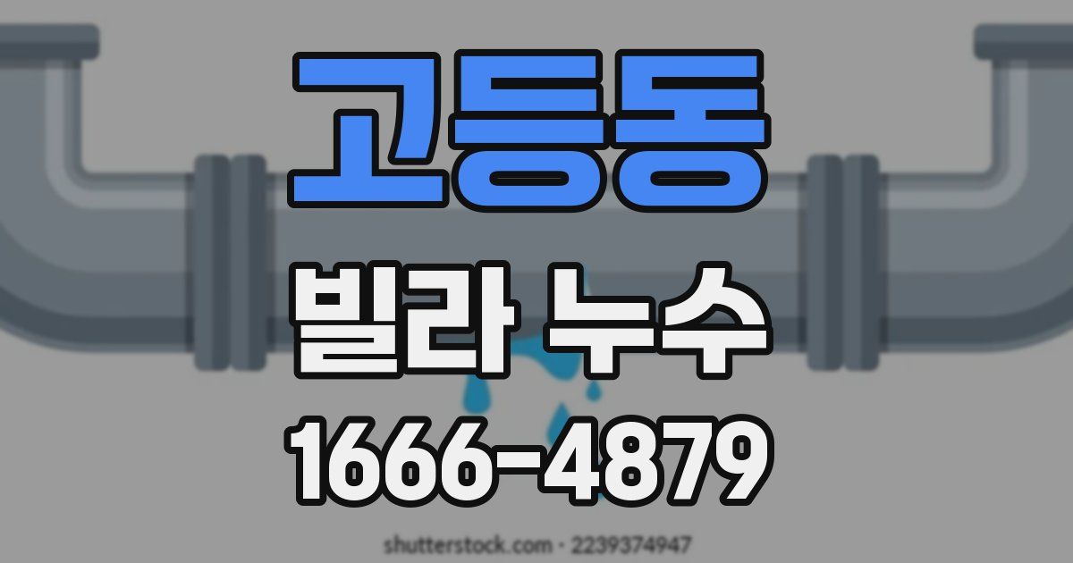 고등동 빌라 누수