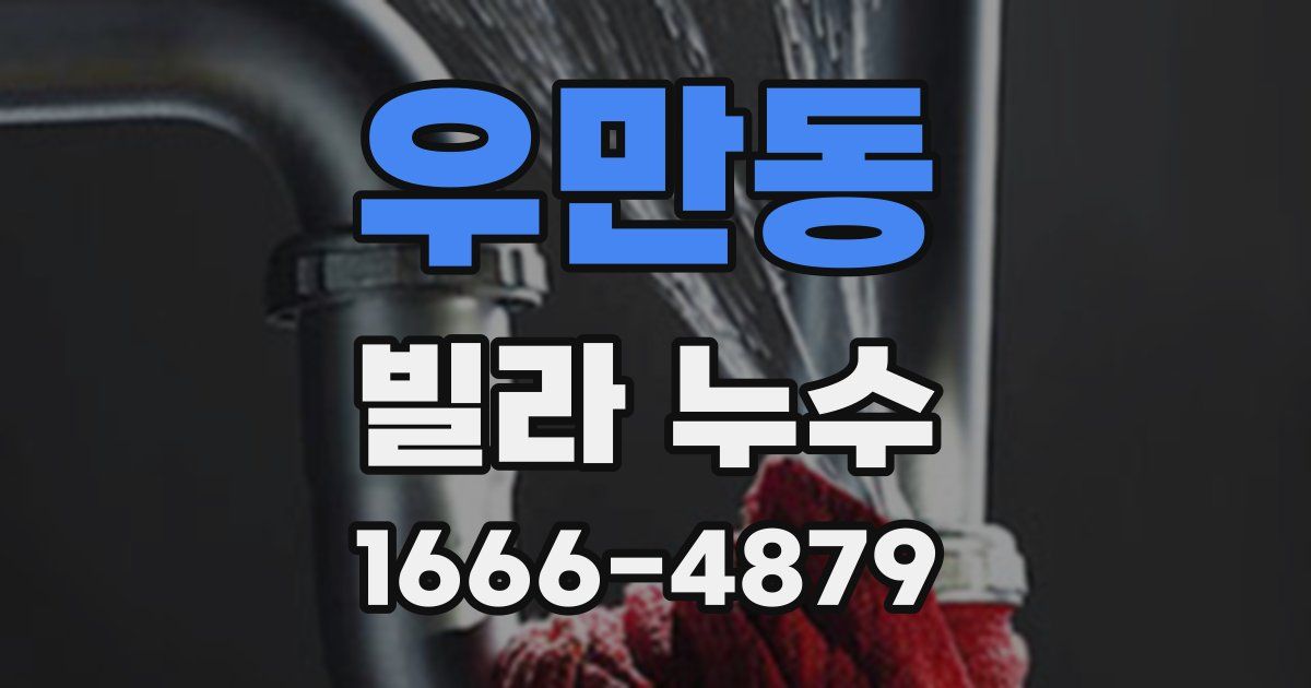 우만동 빌라 누수
