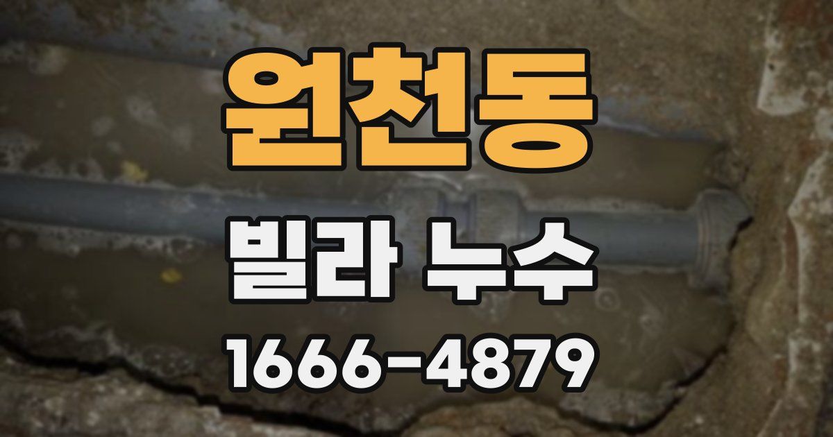 원천동 빌라 누수