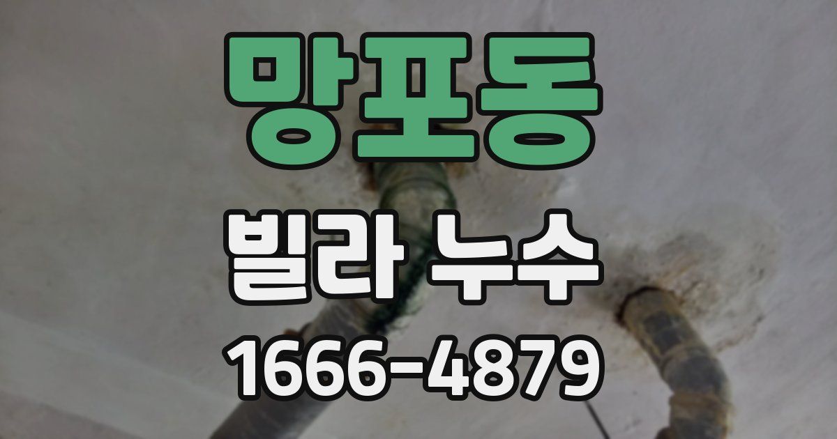 망포동 빌라 누수