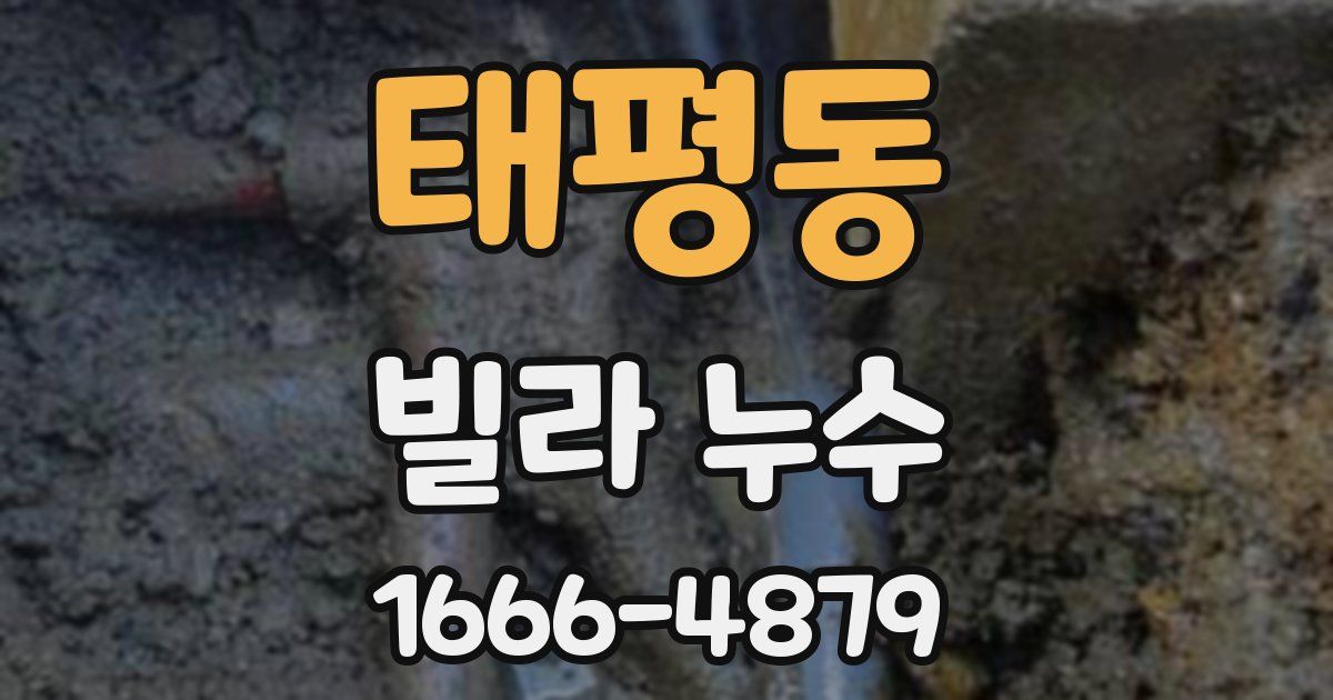 태평동 빌라 누수