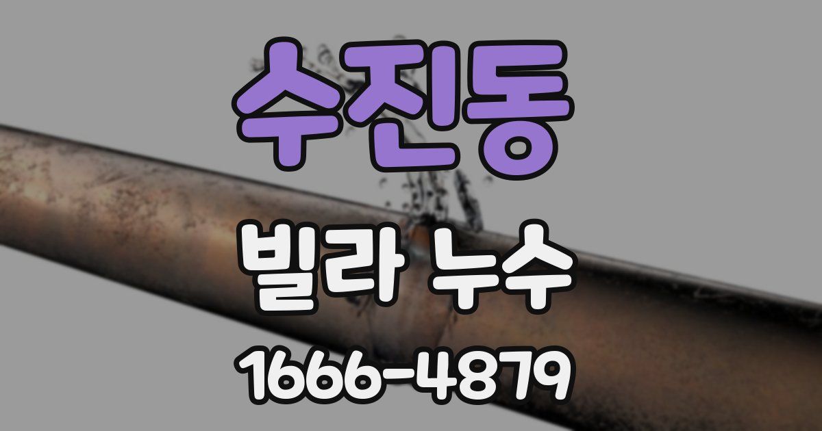 수진동 빌라 누수