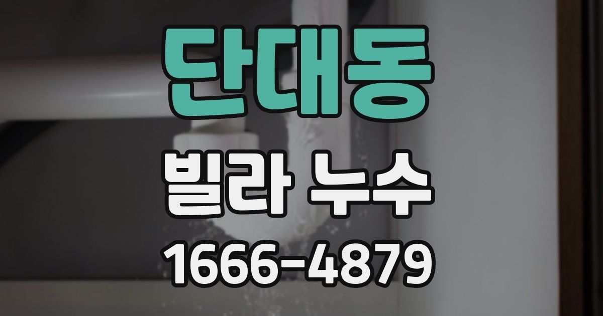 단대동 빌라 누수