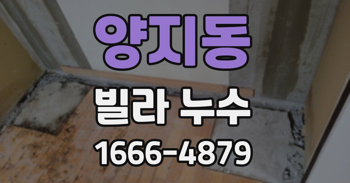 양지동 빌라 누수