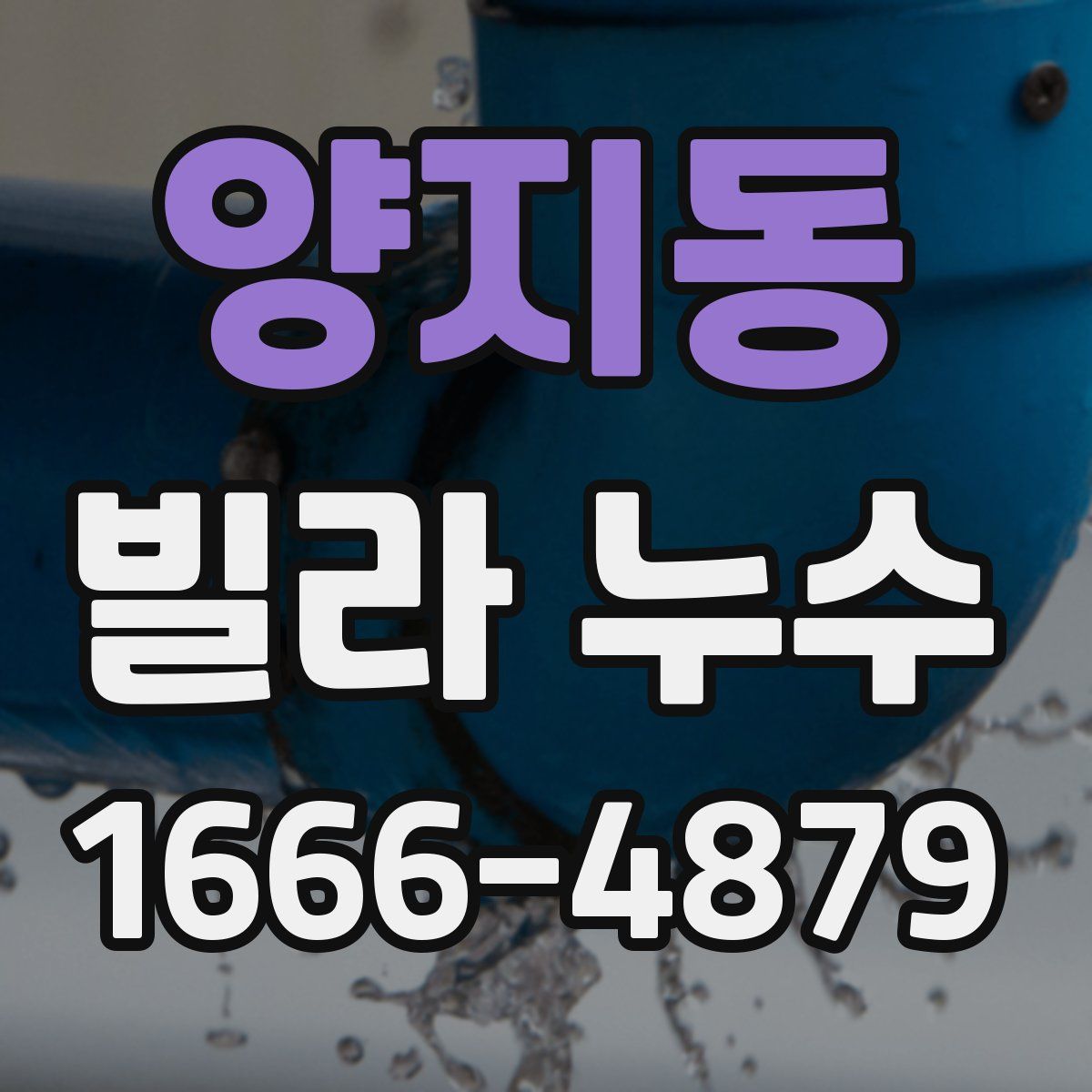 양지동 빌라 누수