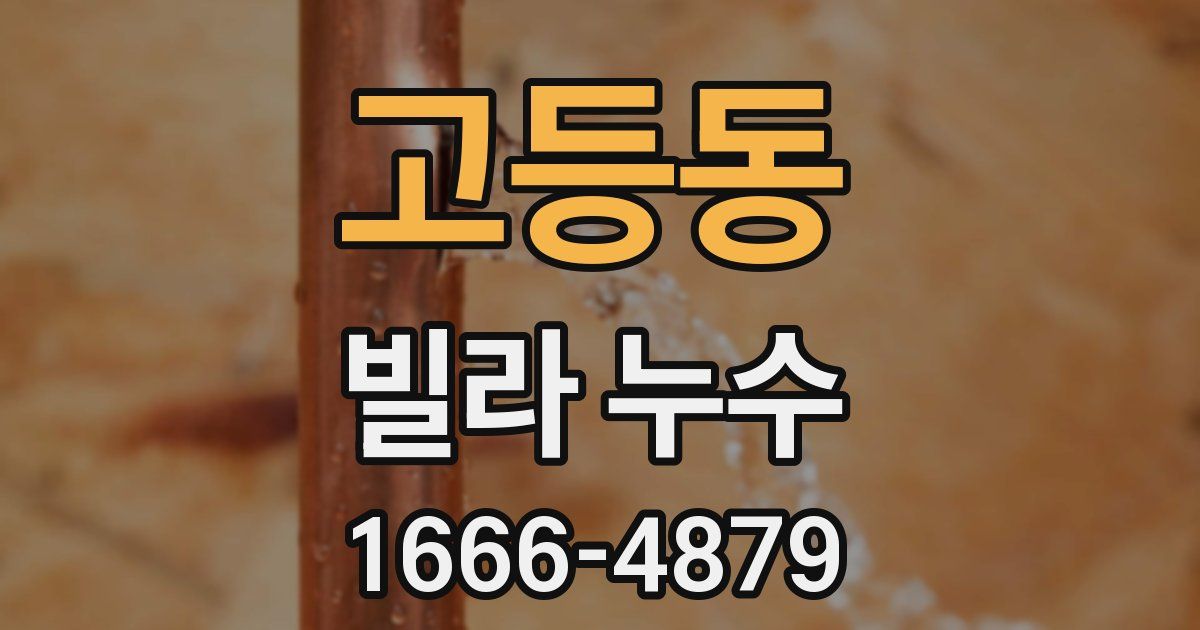 고등동 빌라 누수