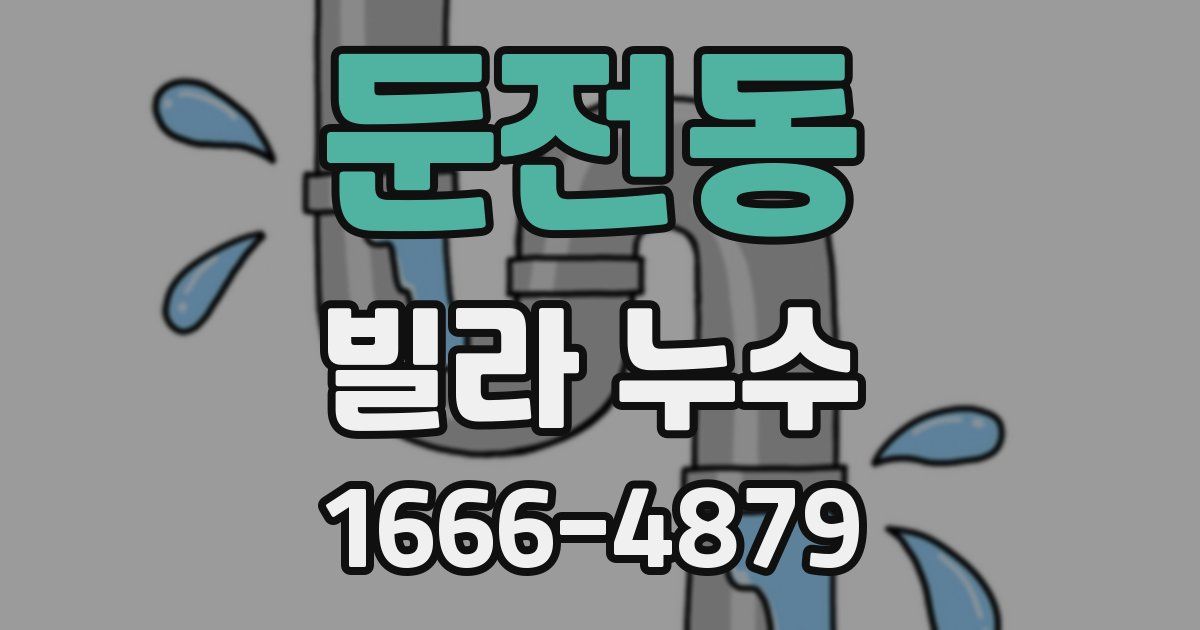 둔전동 빌라 누수