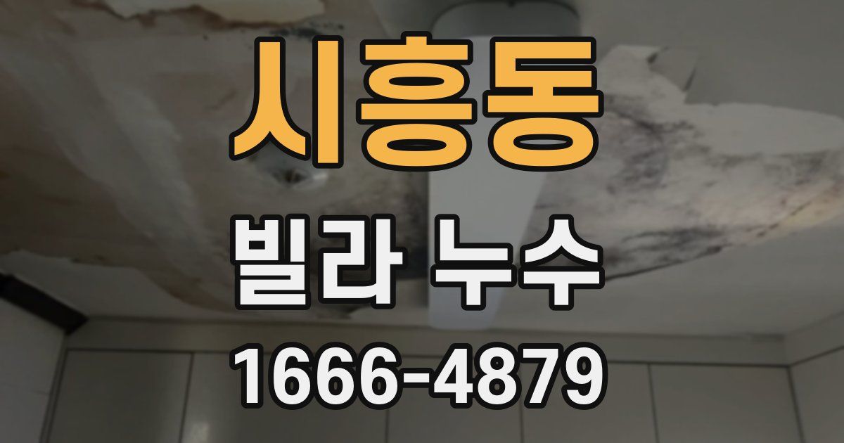 시흥동 빌라 누수