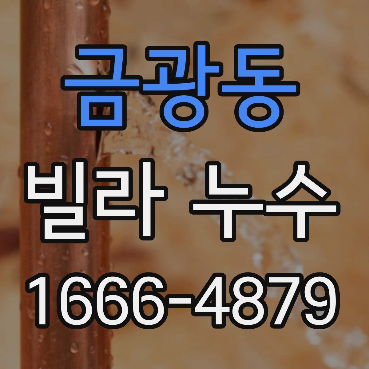 금광동 빌라 누수