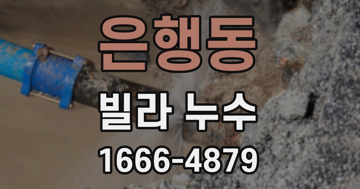 은행동 빌라 누수