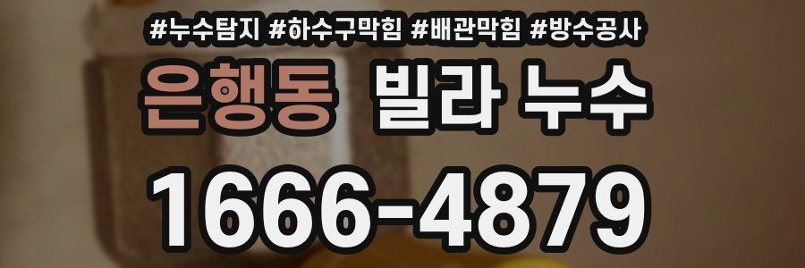 은행동 빌라 누수