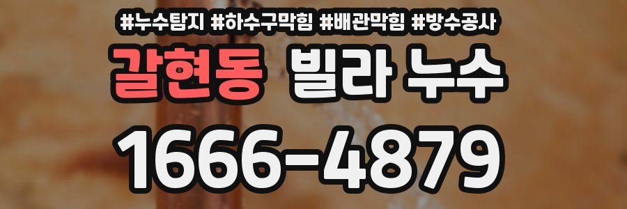 갈현동 빌라 누수