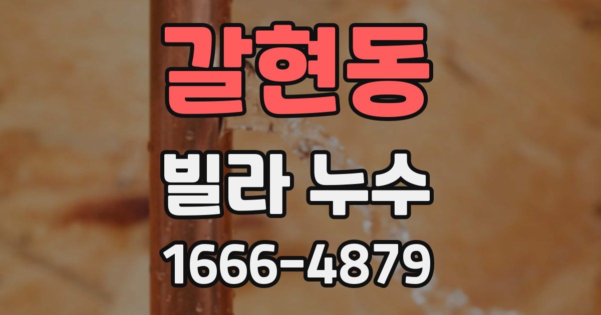 갈현동 빌라 누수
