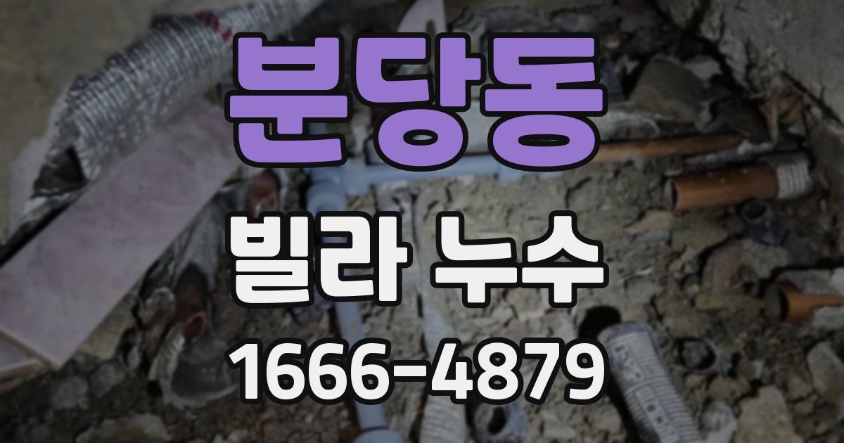 분당동 빌라 누수