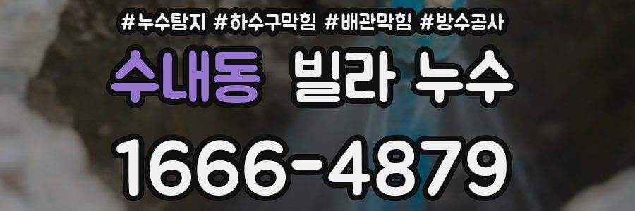 수내동 빌라 누수