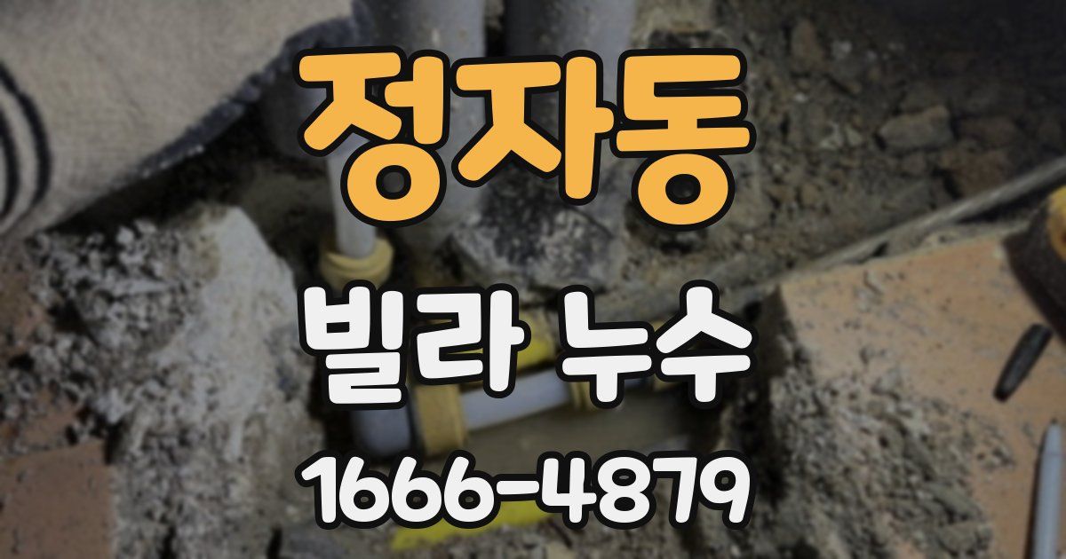 정자동 빌라 누수