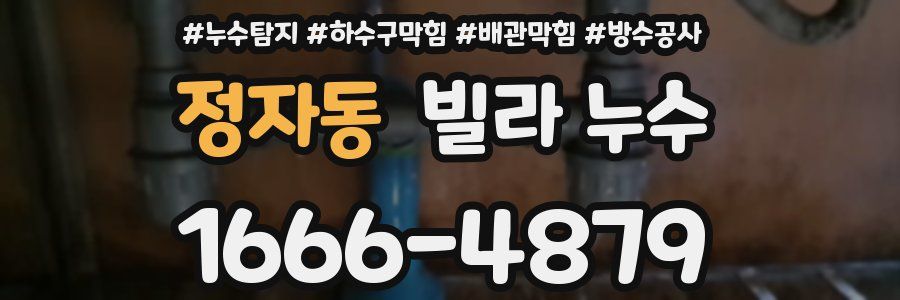 정자동 빌라 누수