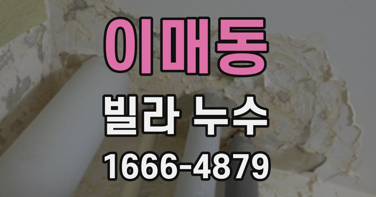 이매동 빌라 누수