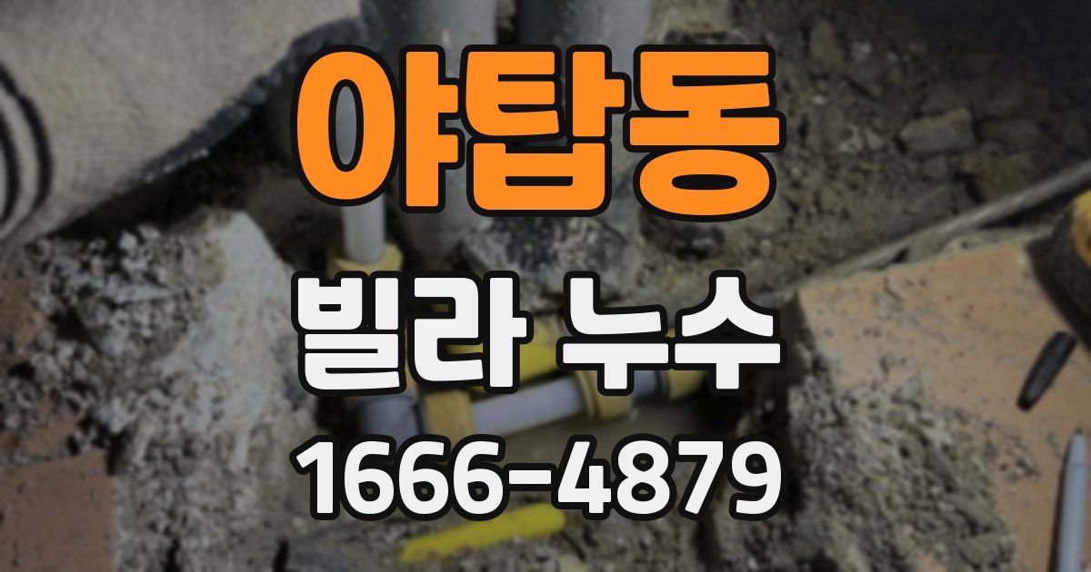 야탑동 빌라 누수