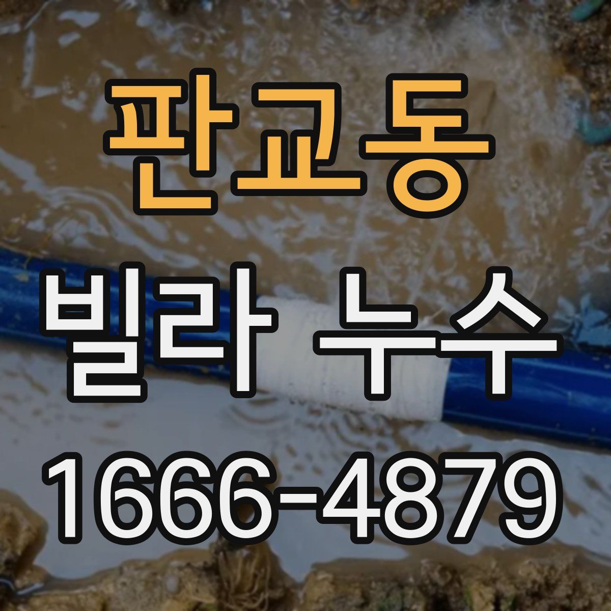 판교동 빌라 누수