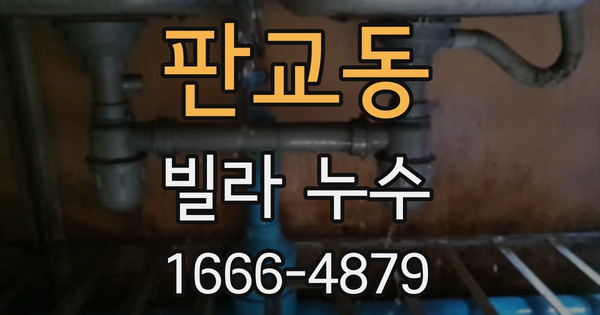 판교동 빌라 누수