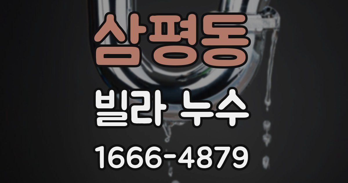 삼평동 빌라 누수