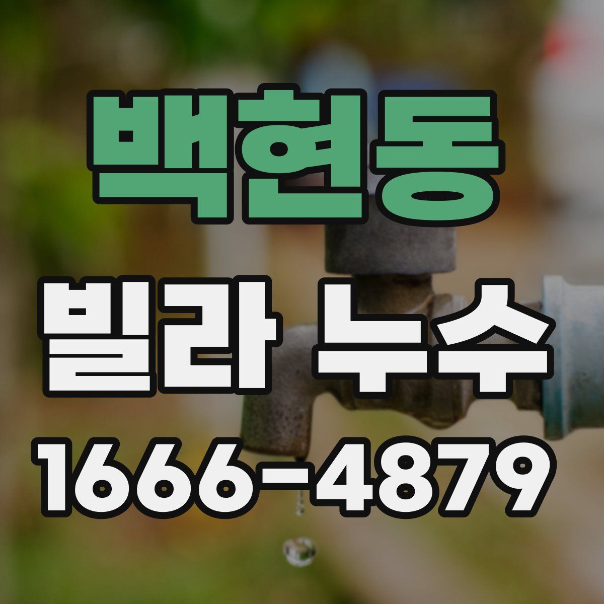 백현동 빌라 누수