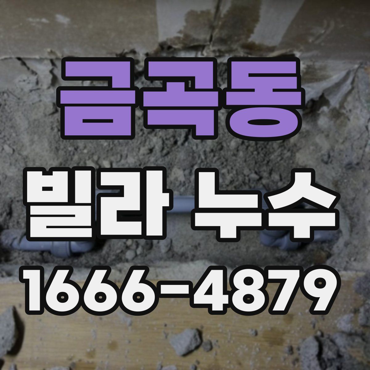 금곡동 빌라 누수