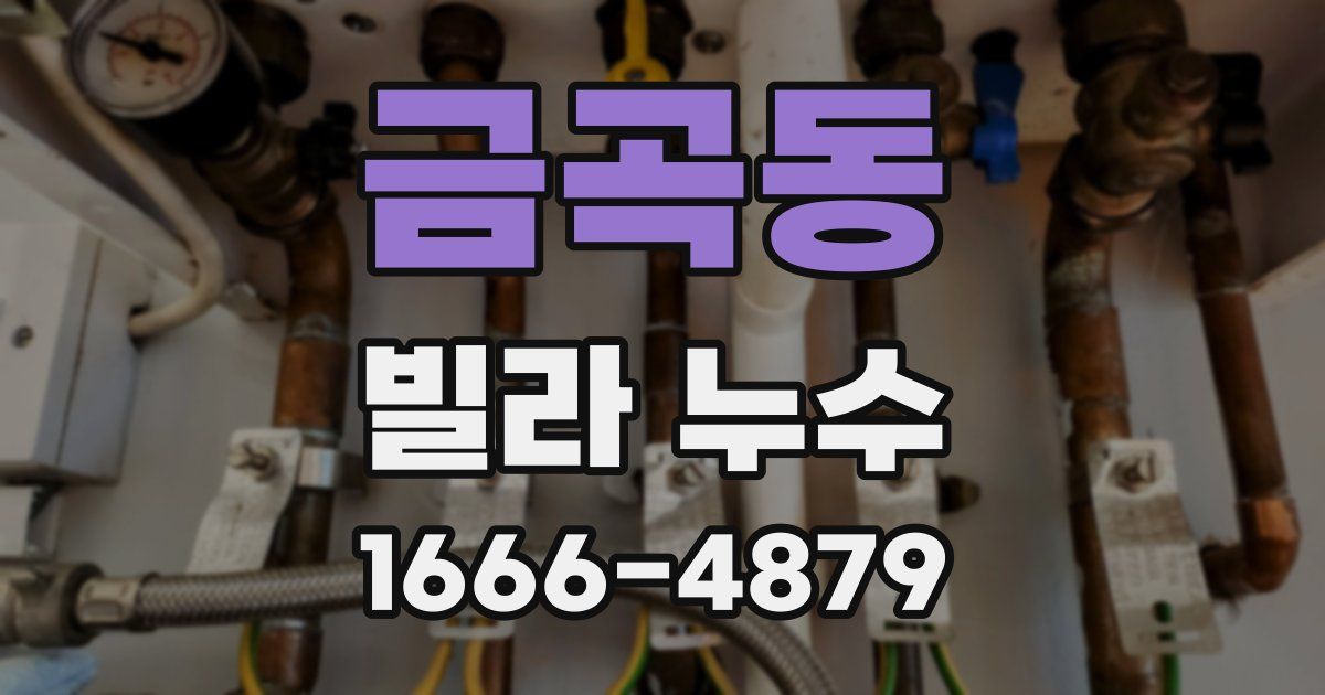 금곡동 빌라 누수