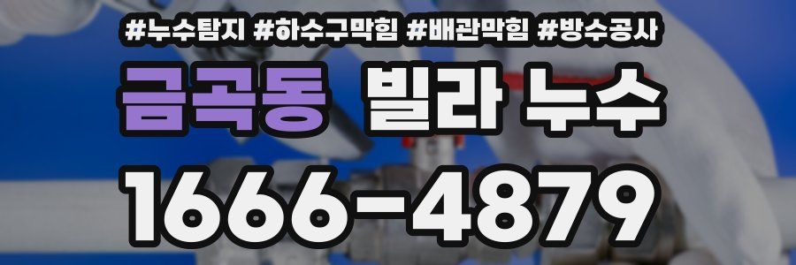 금곡동 빌라 누수