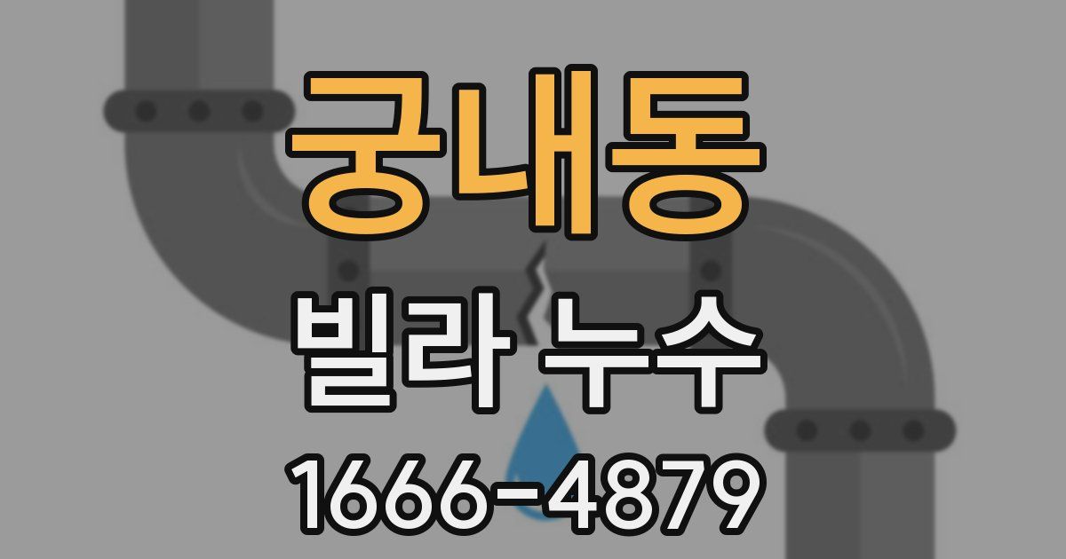 궁내동 빌라 누수