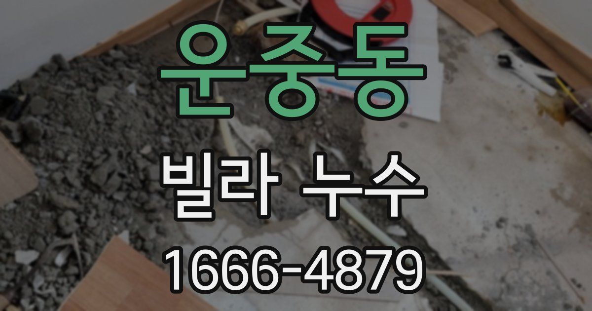 운중동 빌라 누수