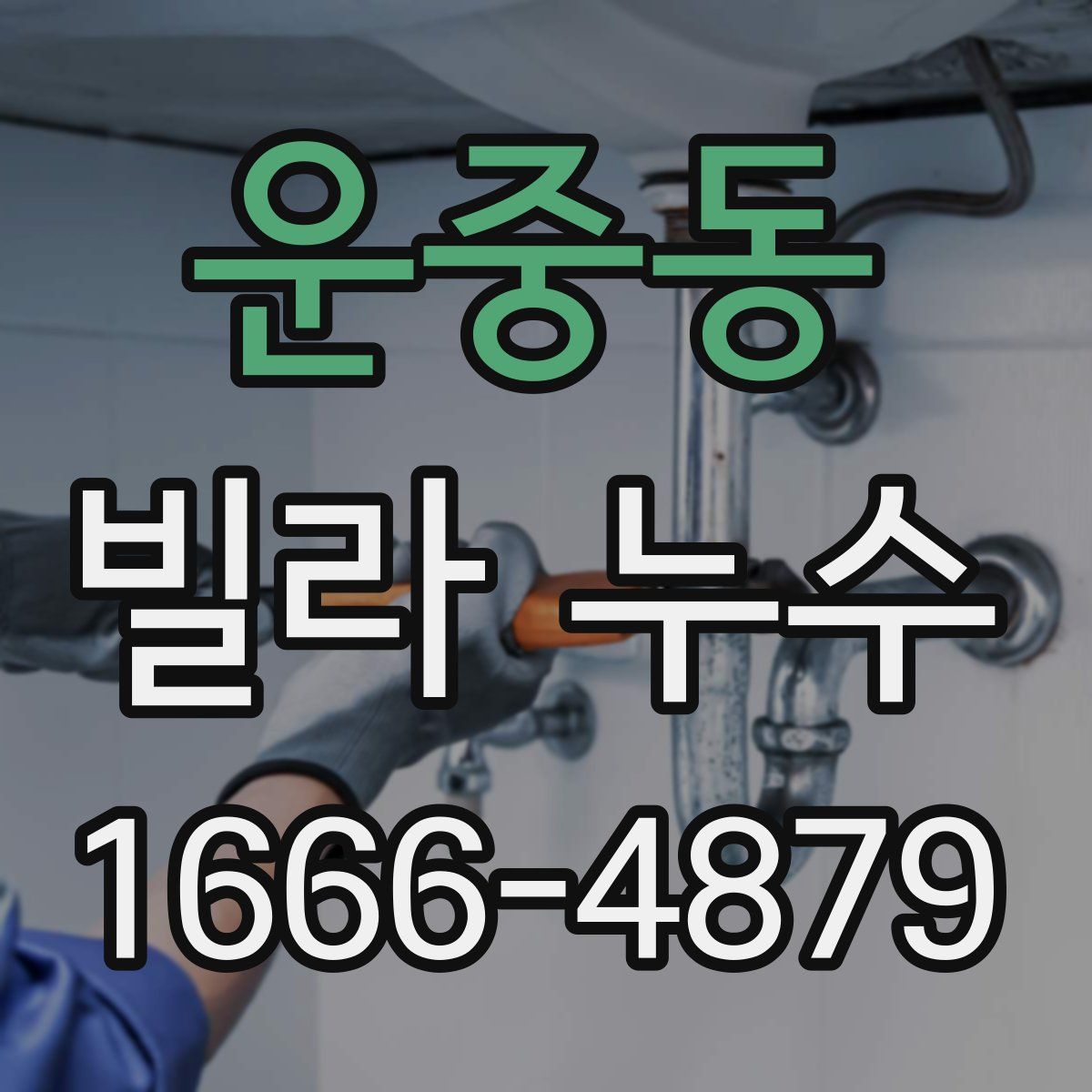 운중동 빌라 누수