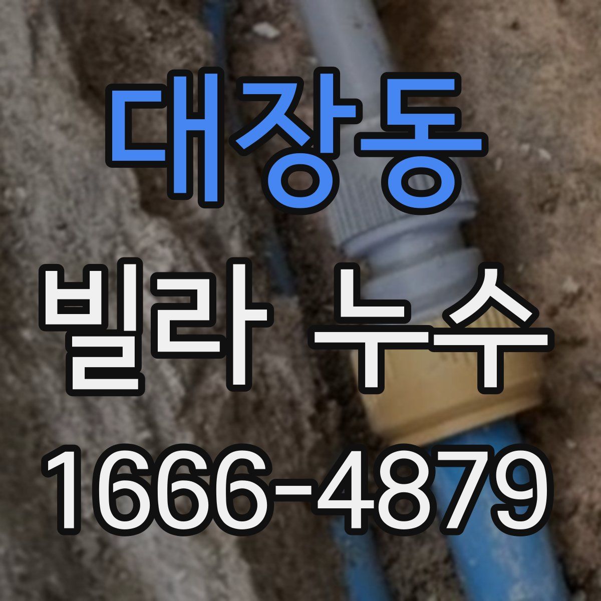 대장동 빌라 누수