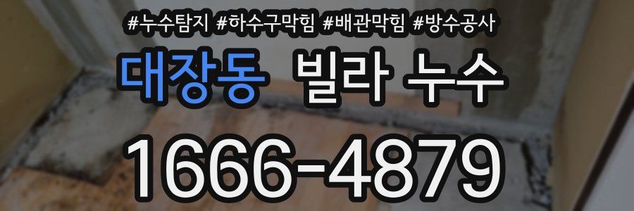 대장동 빌라 누수