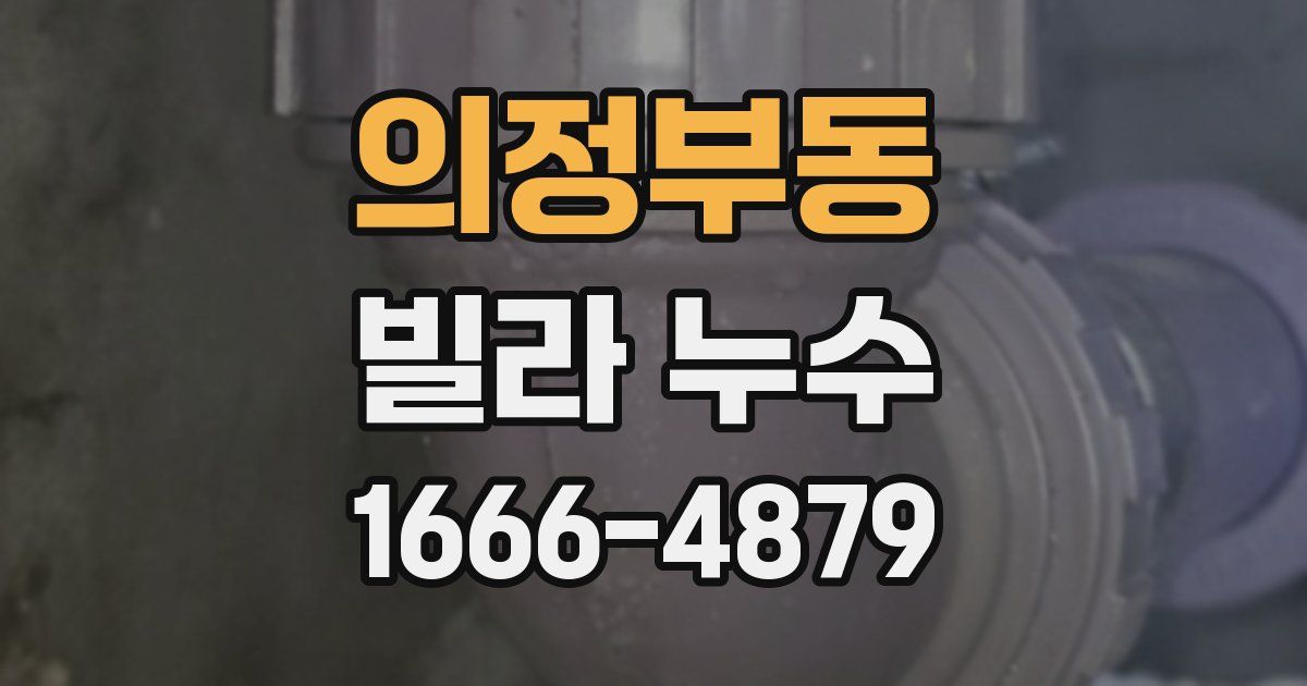 의정부동 빌라 누수