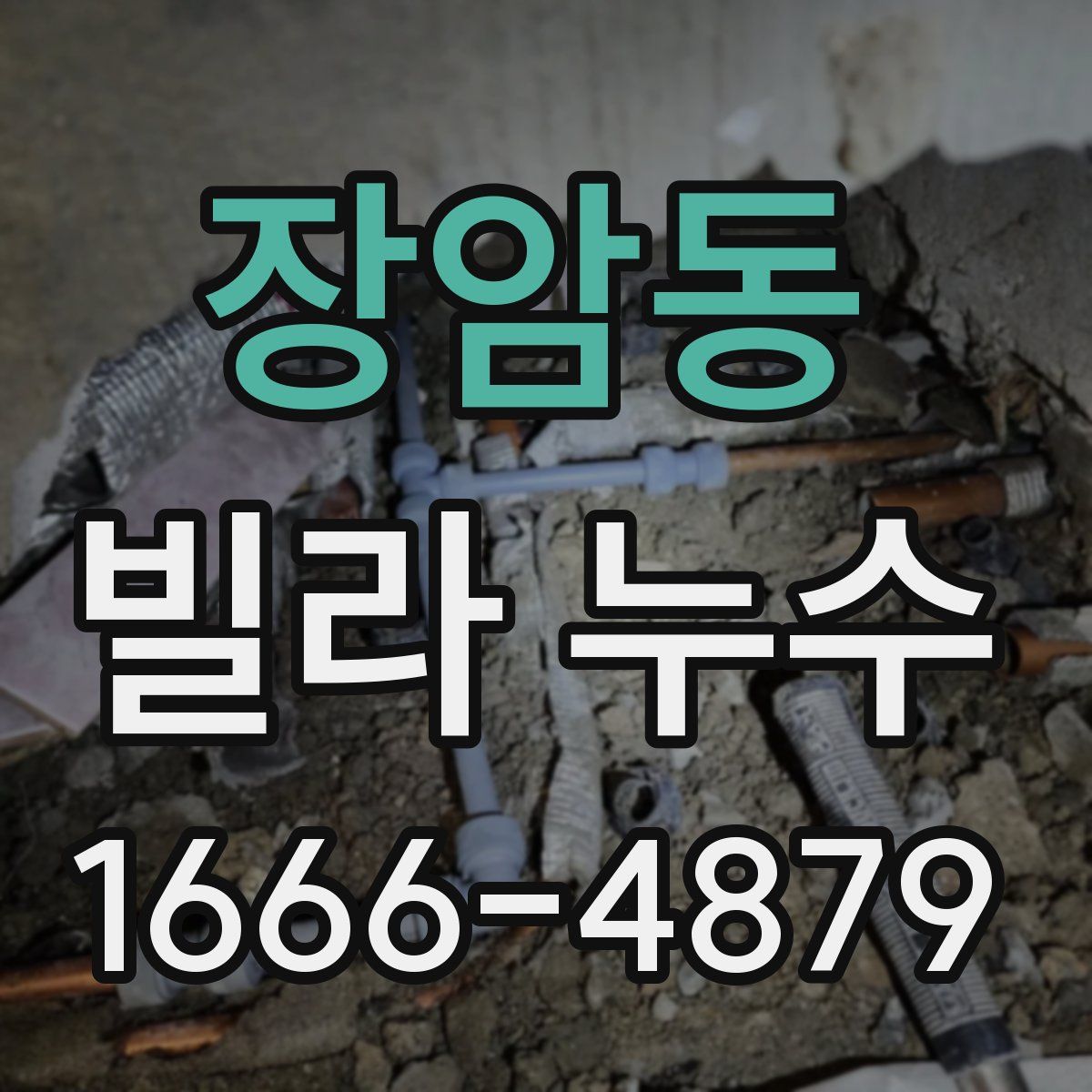 장암동 빌라 누수