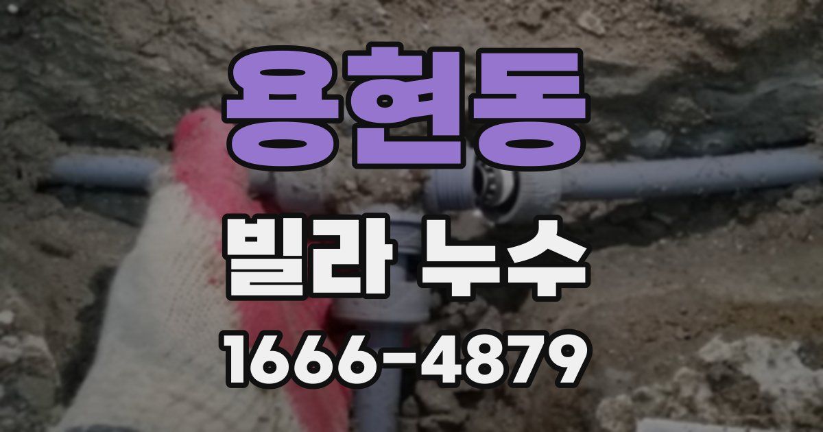 용현동 빌라 누수