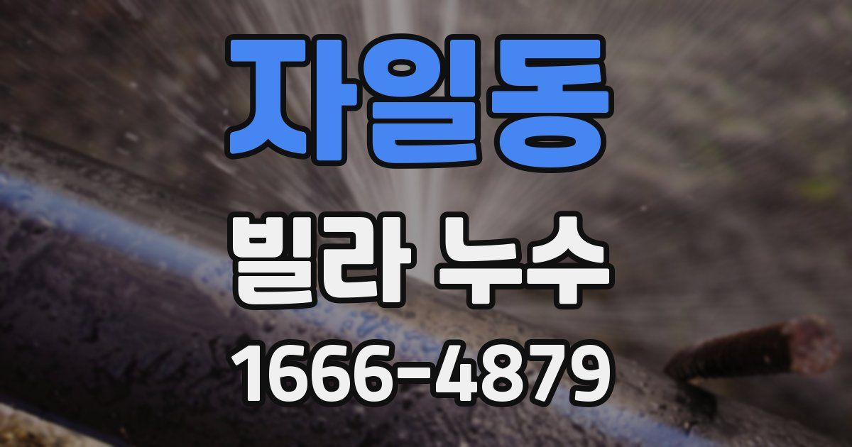 자일동 빌라 누수