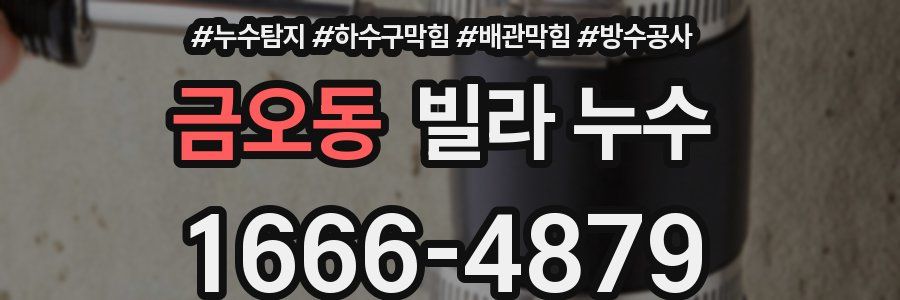 금오동 빌라 누수