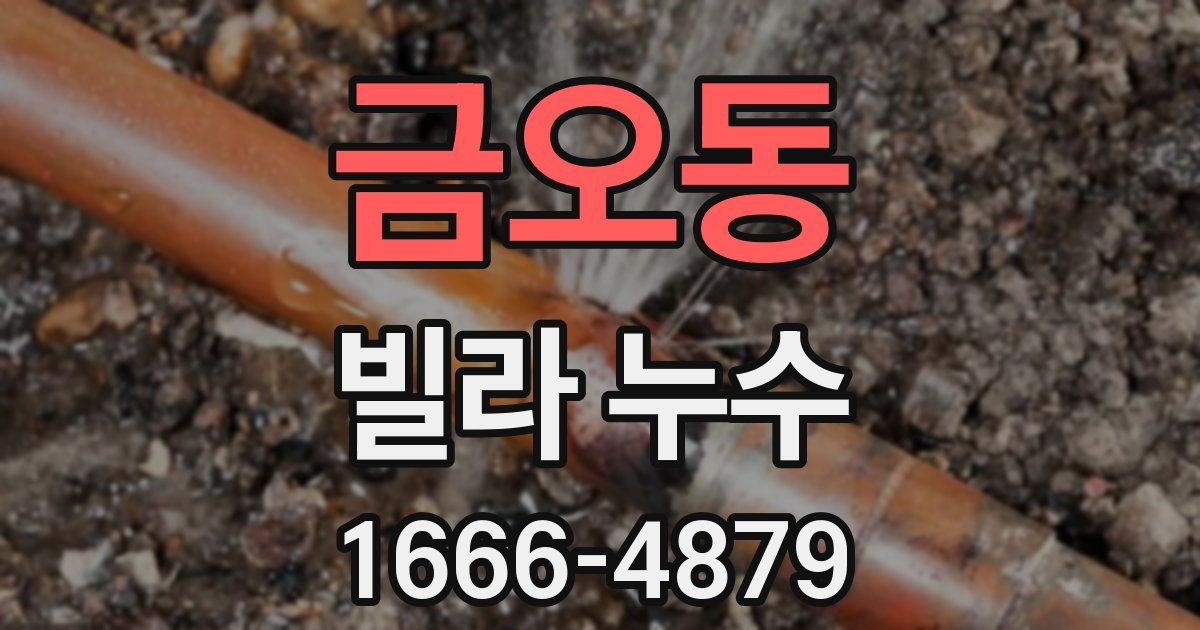 금오동 빌라 누수
