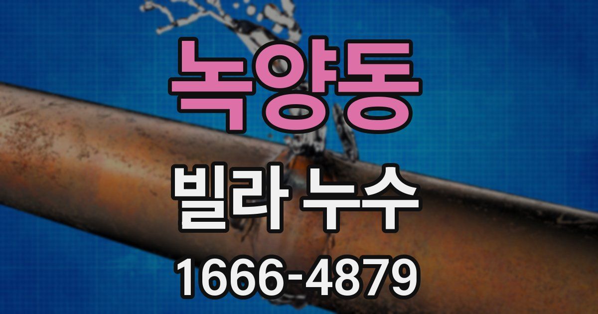 녹양동 빌라 누수