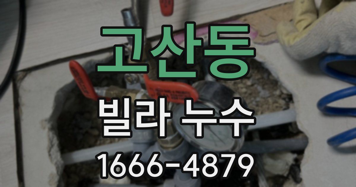 고산동 빌라 누수