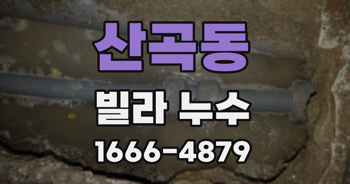 산곡동 빌라 누수